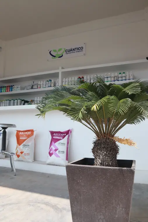 Interior de la tienda Cuántico